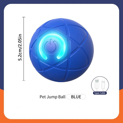 Neolly pets