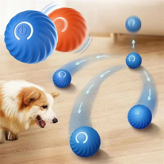Neolly pets