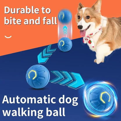 Neolly pets