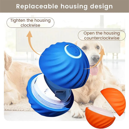 Neolly pets